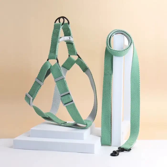 Une laisse pour chien harnais bicolore pour chien pour usage intérieur et extérieur