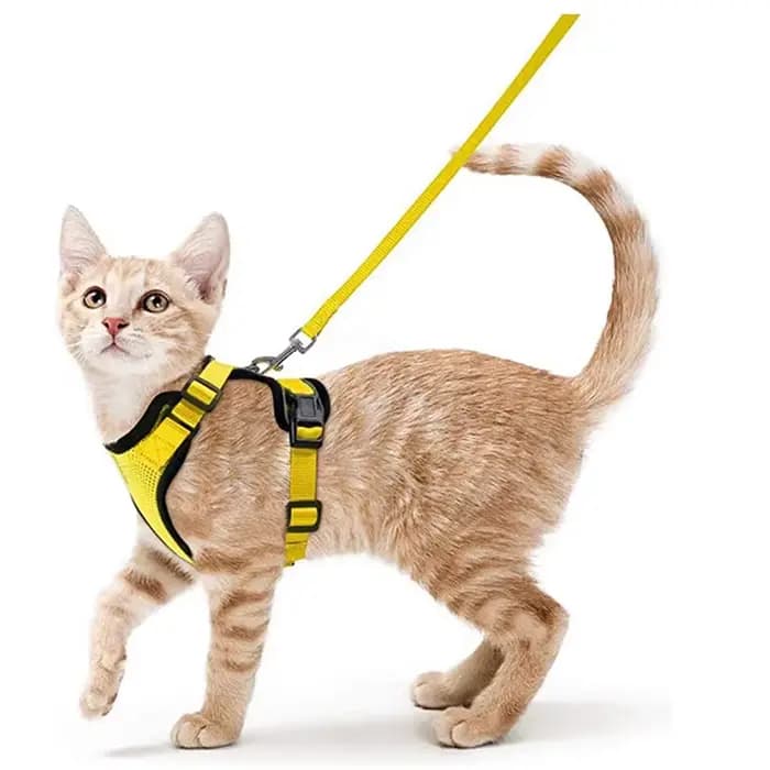 Harnais et laisse pour chat pour la marche, harnais de gilet doux et réglable anti-fuite pour chats,
