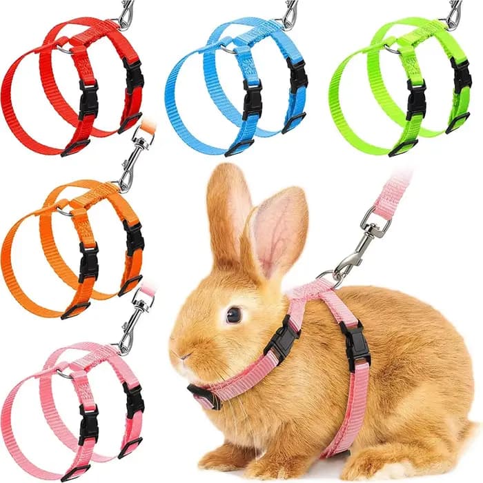Original Ensemble harnais et laisse pour chat lapin, harnais en Nylon réglables pour lapin chaton, f