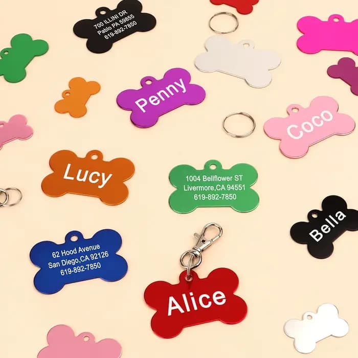 Étiquette d'identification personnalisée pour chiens et chats, en alliage personnalisé, accessoires 