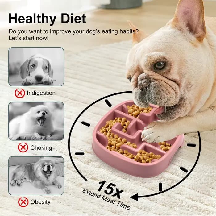Fournitures pour animaux de compagnie chien chat Anti étouffement alimentation bols de nourriture ch