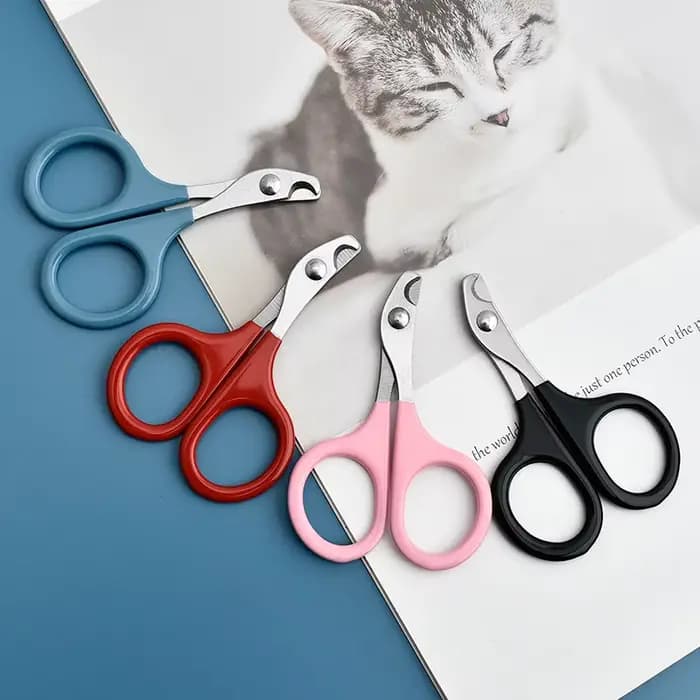 Ciseaux à ongles professionnels pour chat, coupe-ongles pour chien, coupe-ongles pour orteils, fourn