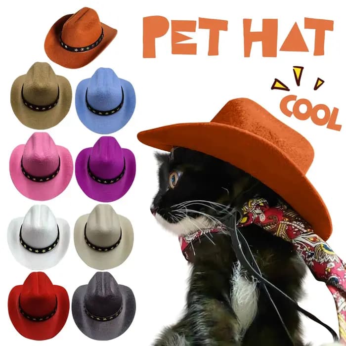 Chapeau de Cowboy britannique pour chien, fournitures pour animaux de compagnie, Costume de chien ré