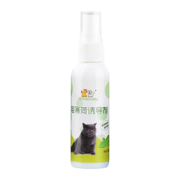 Spray d'herbe à chat pour chat, Inducteur naturel sain de sécurité pour chat, entraînement pour anim