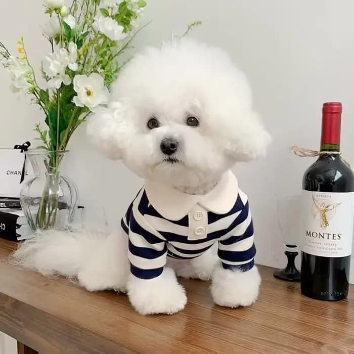 Polo d'été pour chiens, vêtements pour chiots, Bichon Frise, Chihuahua, sweat-shirt à rayures pour c