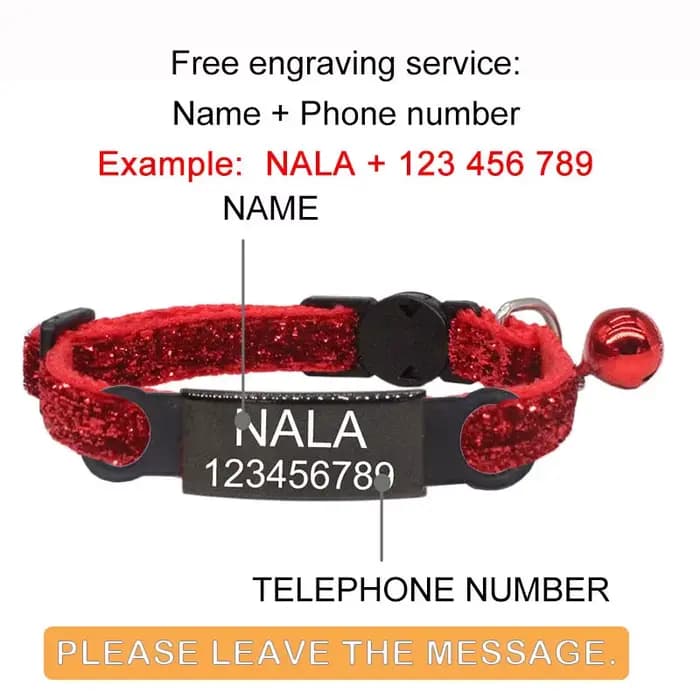 Collier de chat personnalisé avec nom ID et nœud papillon, collier de chien réglable élastique, nœud