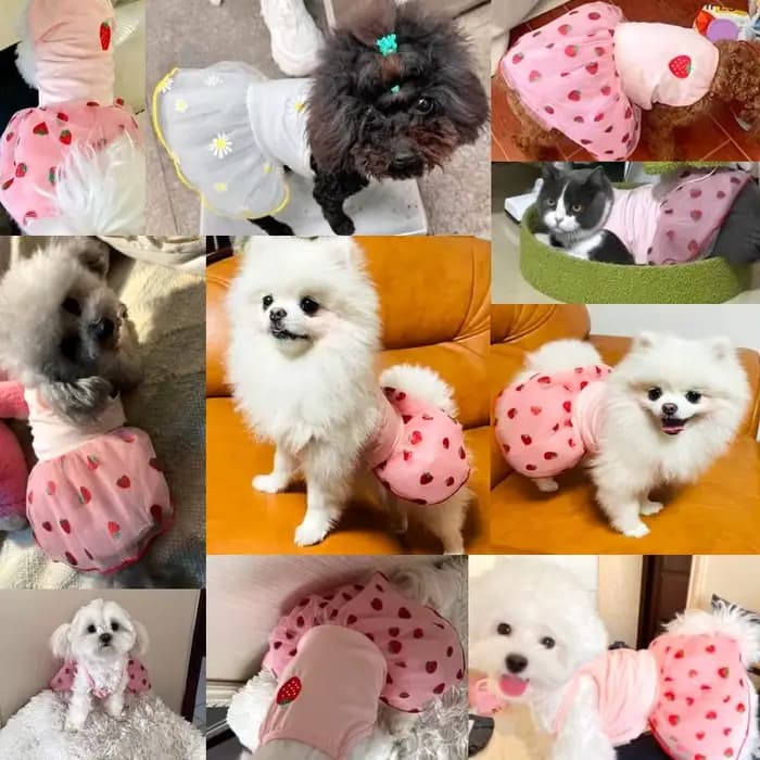 Robe d'été à fraises pour chien, vêtements pour animaux de compagnie, jupe à bretelles, vêtements po