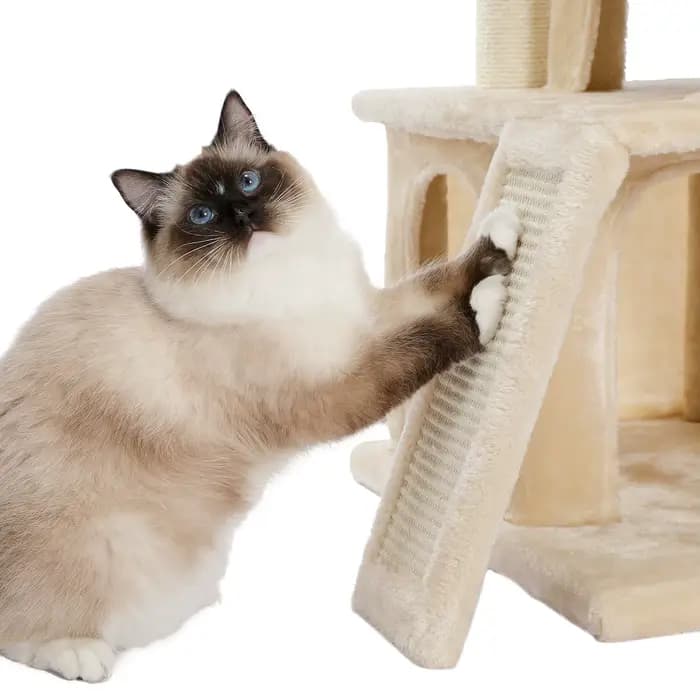 Tour d'arbre à chat en bois avec double condos, perchoir spacieux, poteaux en sisal à gratter entièr