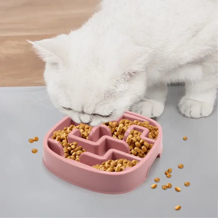 Fournitures pour animaux de compagnie chien chat Anti étouffement alimentation bols de nourriture ch