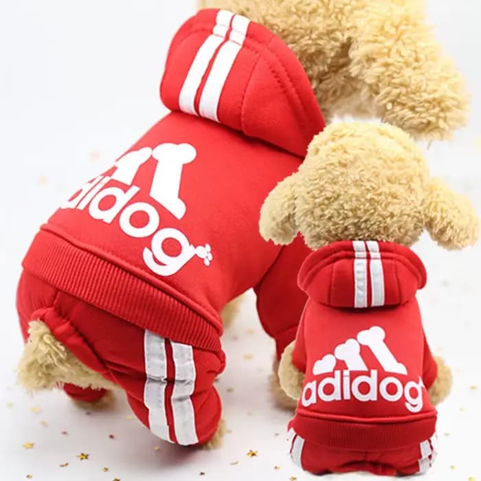 Sweat à capuche pour chien à quatre pattes, combinaison pour chiot, salopette avec lettres pour peti