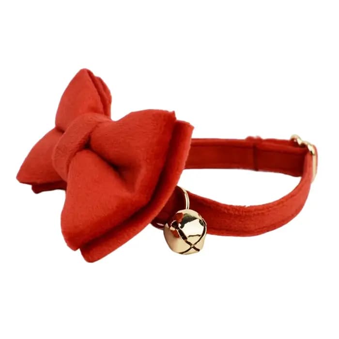 Collier personnalisé pour chat chaton collier velours chiot petits chiens colliers personnalisé grav