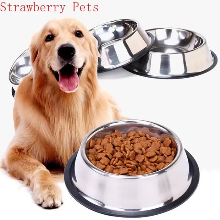 Bol en acier inoxydable pour chien, conteneur de stockage des aliments, bol de nourriture pour chien