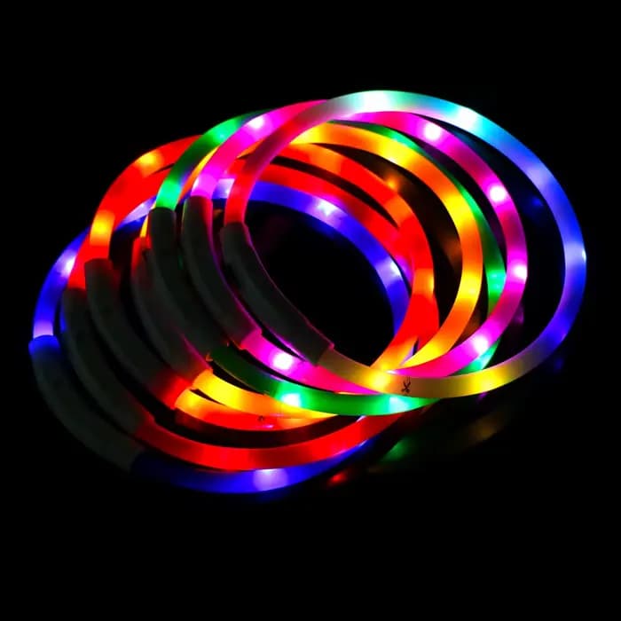 Collier de prévention de la perte de chien Led Usb, accessoires pour animaux de compagnie, sécurité 