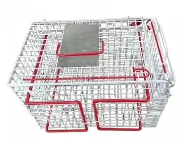 Cage de contention pour chats destinée au sauvetage, cage de manipulation pour injections felines, c