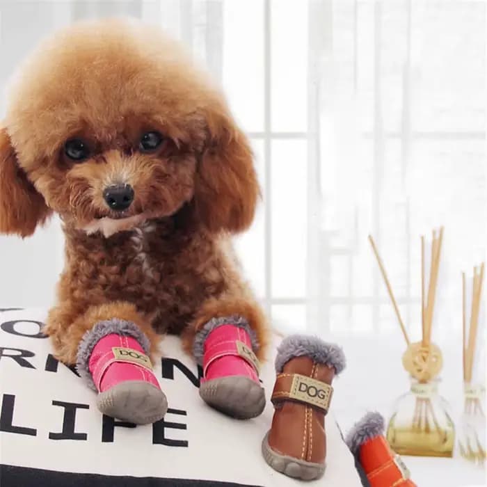 Bottes de neige imperméables pour animaux de compagnie, chaussures coordonnantes pour chien, peluche