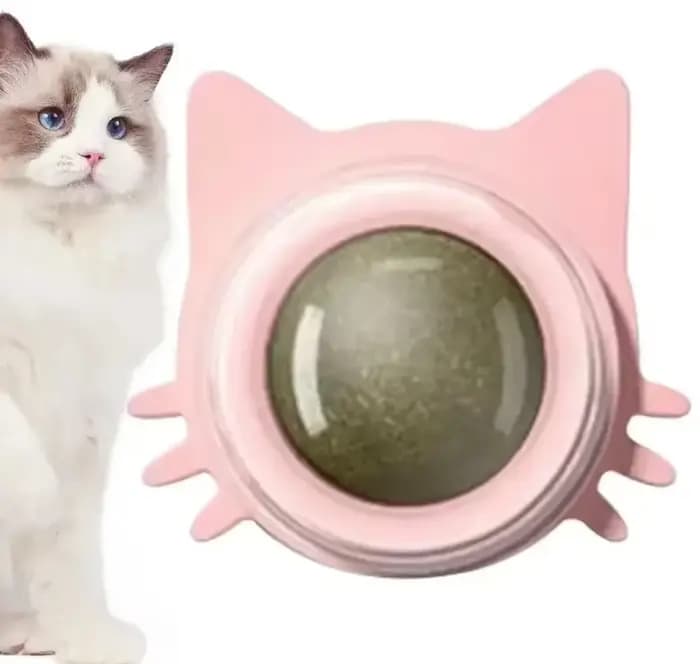 Jouets à la Catnip pour chats – Balle interactive murale d'intérieur à rotation, menthe naturelle, f