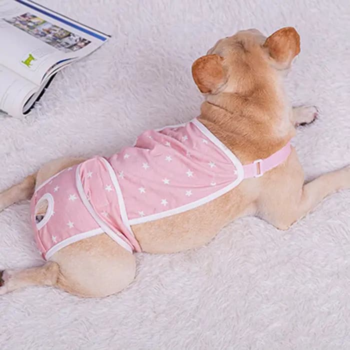 Couche-culotte en coton lavable pour animaux de compagnie, sous-vêtement pour chien femelle et chiot