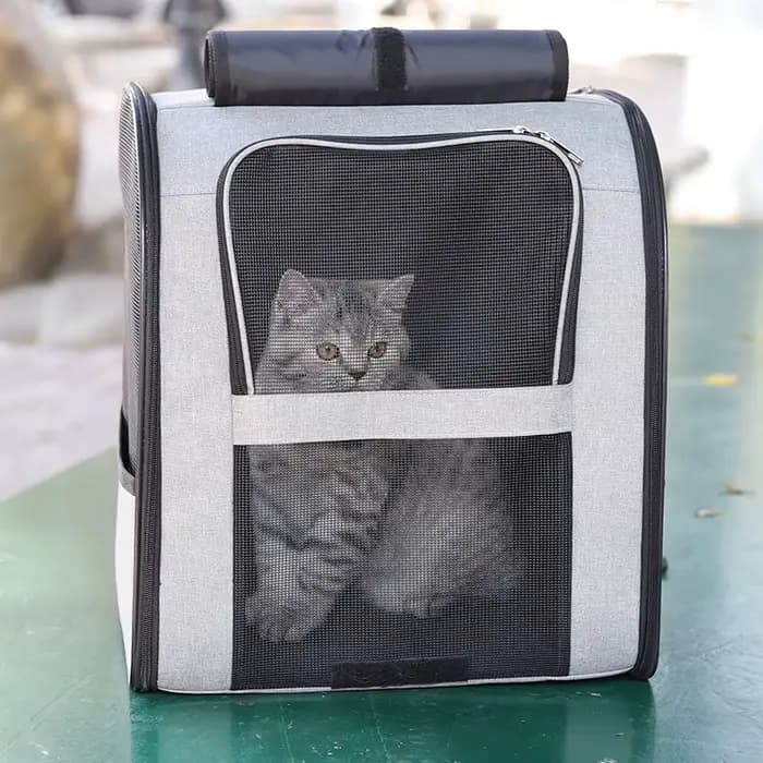Sac à dos pour animaux de compagnie, grand espace, sac de voyage Portable respirant, sac à dos pour 