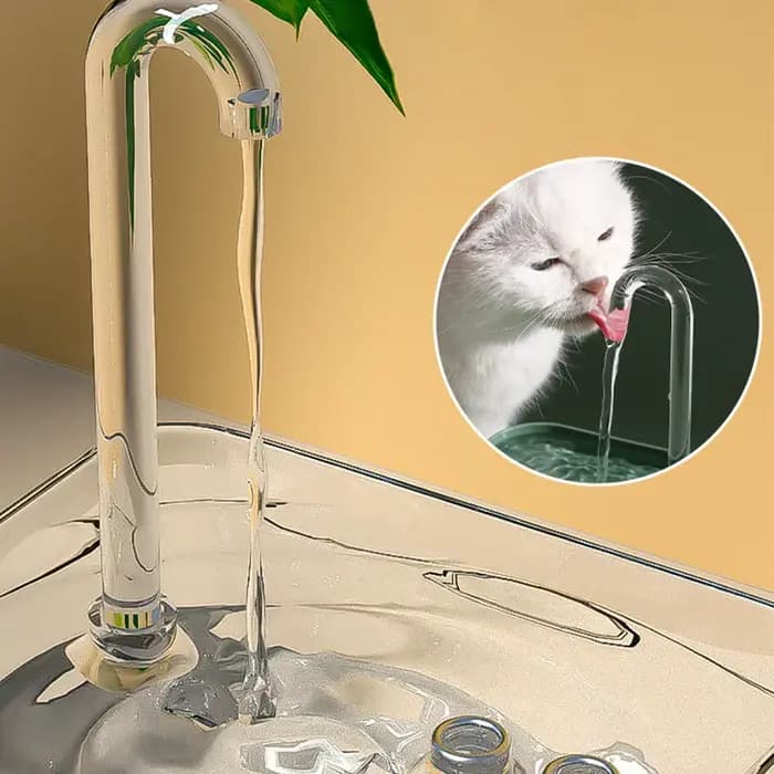 Fontaine d'eau pour chat, filtre automatique, abreuvoir Transparent pour chat, USB, électrique, sile