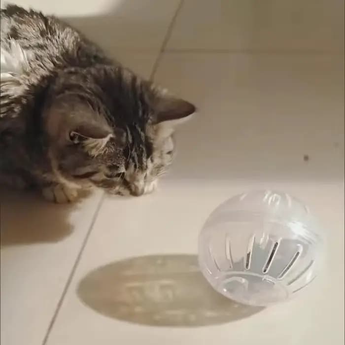 12 14.5cm Hamster souris sport Fitness balle de course drôle jouet pour animaux de compagnie pour Mi