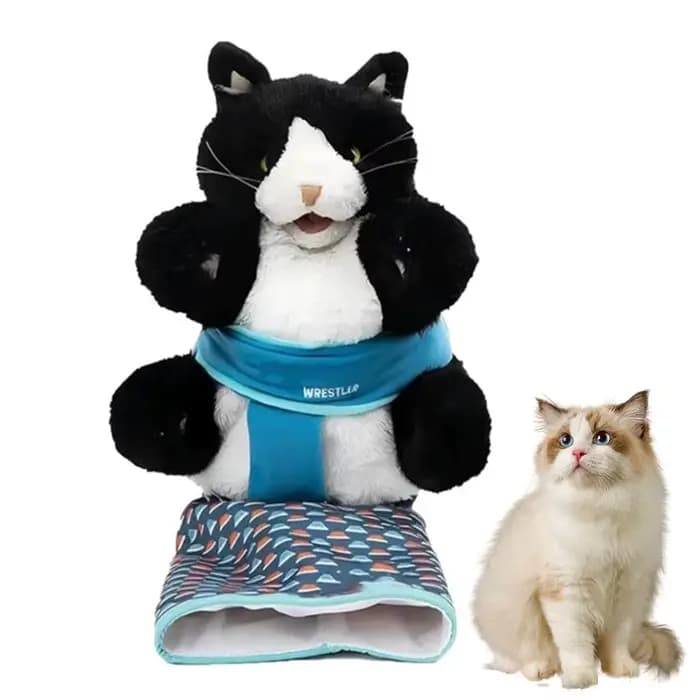 Gants de lutte pour chat, jouet pour chaton, gants interactifs pour chat, jouets de lutte pour chat,