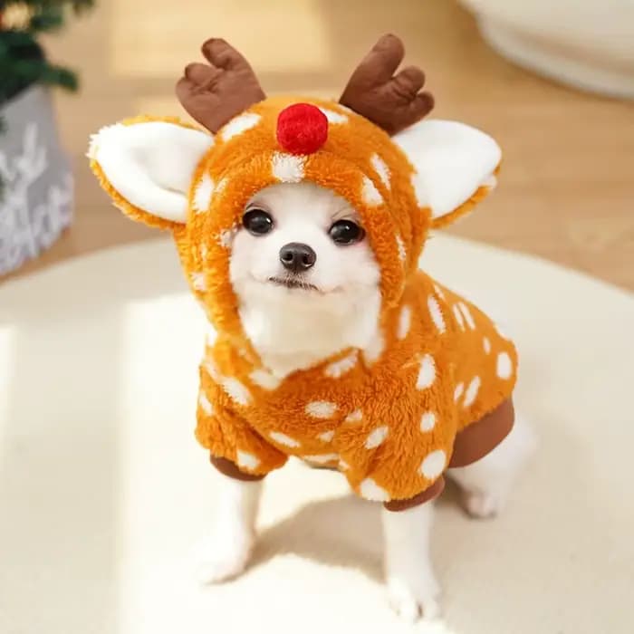 AdTosReindeer-Costume pour animaux de compagnie avec chapeau pour chiens et chats de race moyenne, t