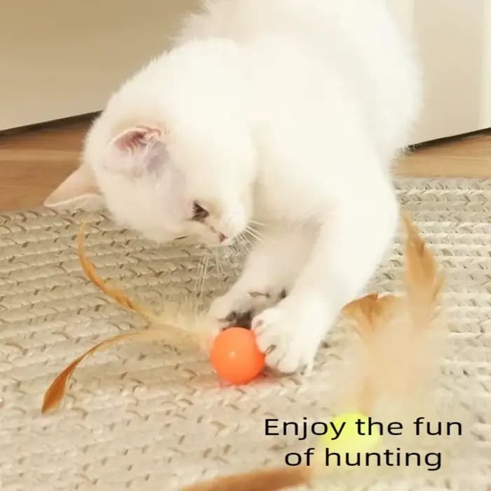 Balle élastique amusante pour chat, jouet interactif, fournitures pour animaux de compagnie, jouets 