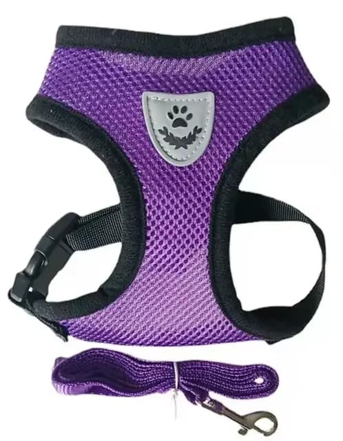 Harnais pour chat et chien avec laisse, gilet réglable en maille polyester respirante, harnais réflé