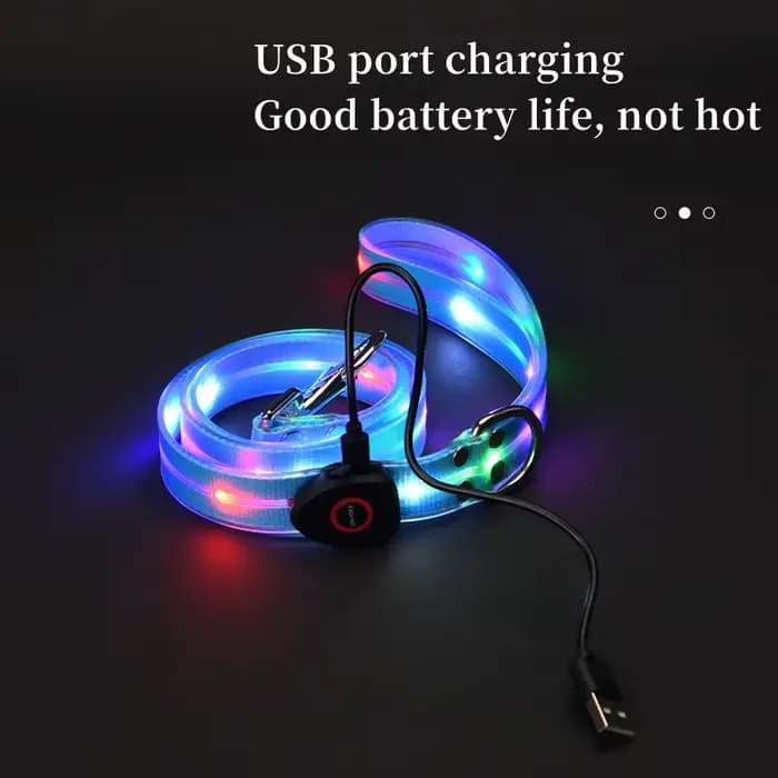 Collier lumineux pour animaux de compagnie, laisse LED clignotante, chargement USB, ceinture de trac