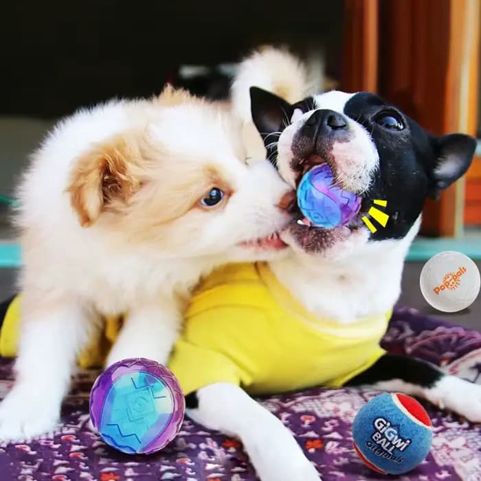 Jouets à mâcher grinçants pour animaux de compagnie, son pur, caoutchouc naturel non coupé, jeu en p