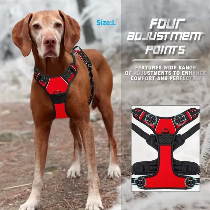 Colliers pour chiens, harnais, grands gilets, laisse, boutique d'animaux, tout pour chiens, accessoi