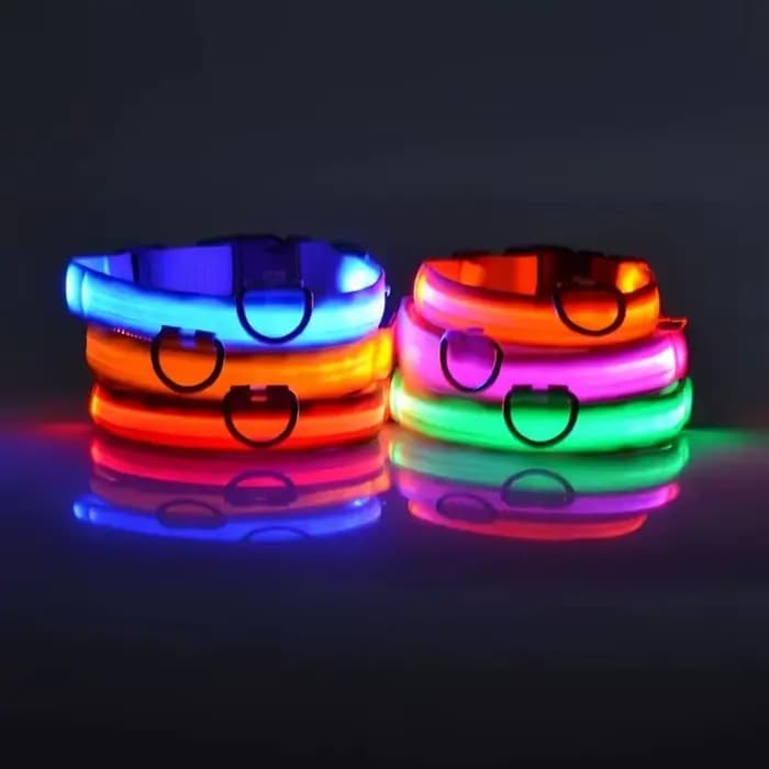 Collier lumineux LED réglable pour chien, rechargeable par USB, clignotant, anti-perte/anti-collisio