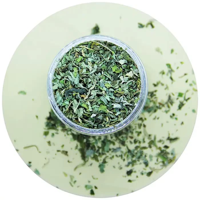 Bio 100% naturel de haute qualité herbe-aux-chats bétail goût de menthe drôle chat jouet nouveau cha
