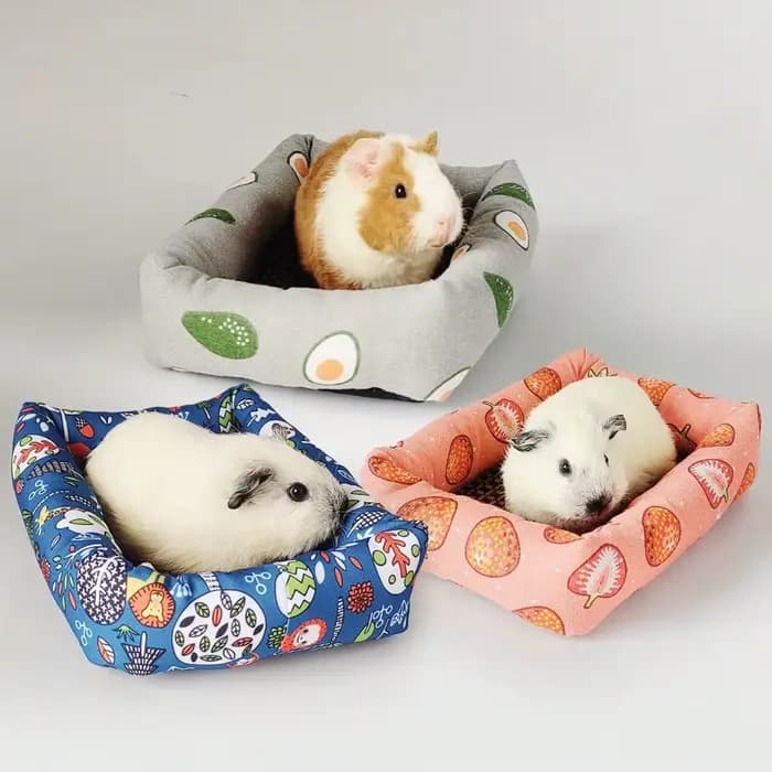 Tapis rectangulaire imprimé pour lit de sommeil, avec tapis en rotin, pour animaux de compagnie, pet