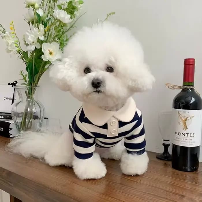 Chemise rayée pour chien, vêtements d'été pour chiot, gilet pour chat mignon, respirant, chemise fin