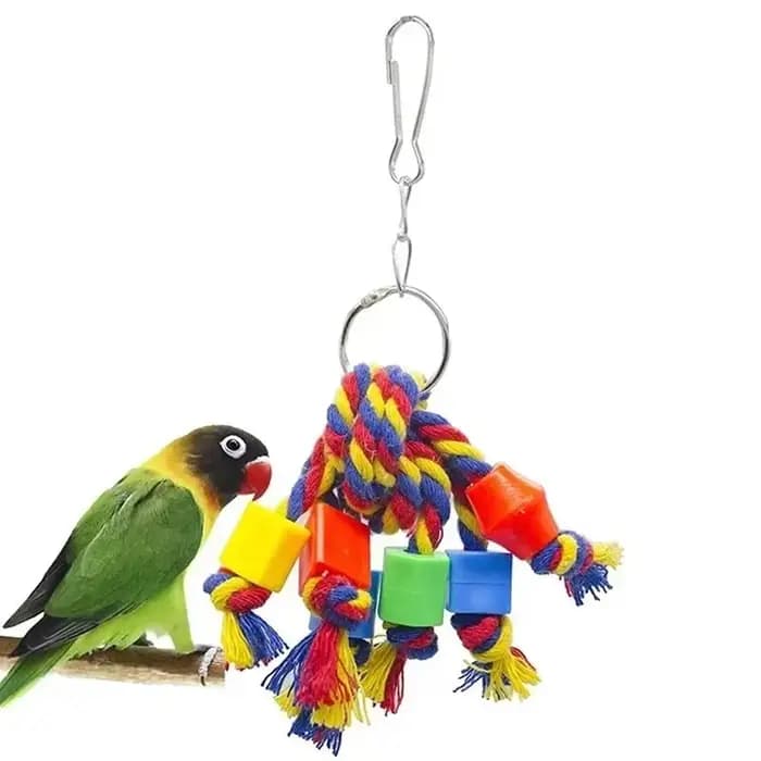 Jouet à mâcher pour perroquets, corde en coton, jouet pour oiseaux, pont de morsure, jouets à déchir