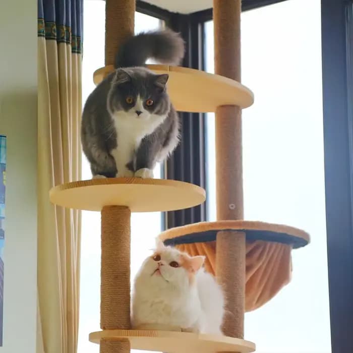 Poste à gratter en PVC pour arbre à chat, cadre d'escalade de remplacement, corde en Sisal, enchevêt