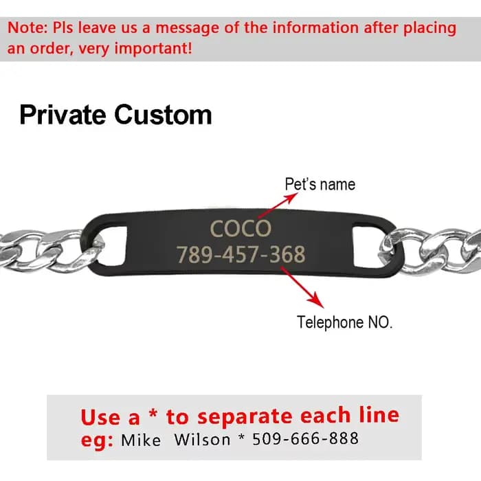 Collier chaîne personnalisé pour chat, gravure gratuite, chiot, chaton, plaque signalétique, collier