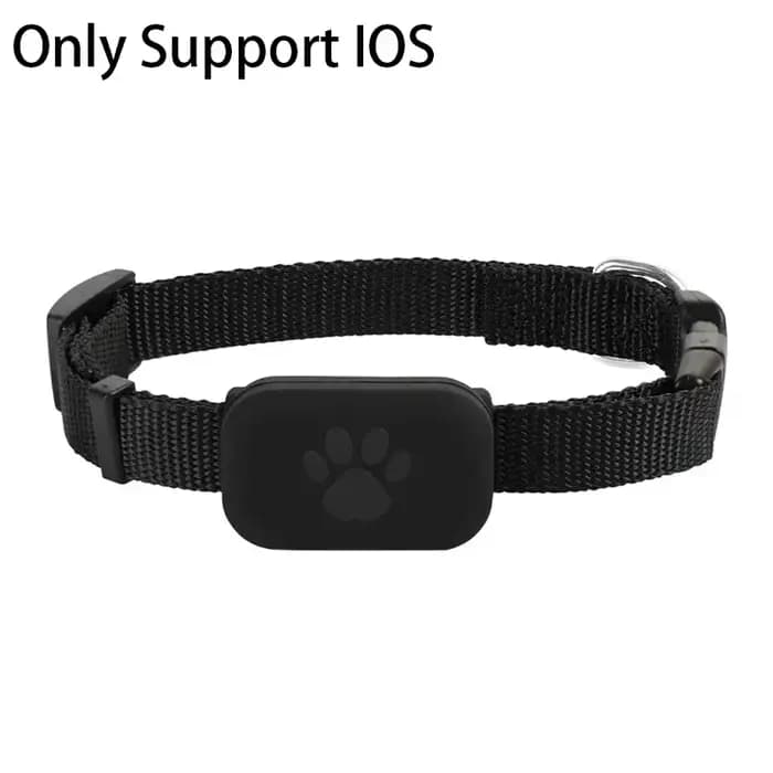 Collier GPS pour chats, chaton, avec suivi, Protection de sécurité, batterie longue durée, fournitur