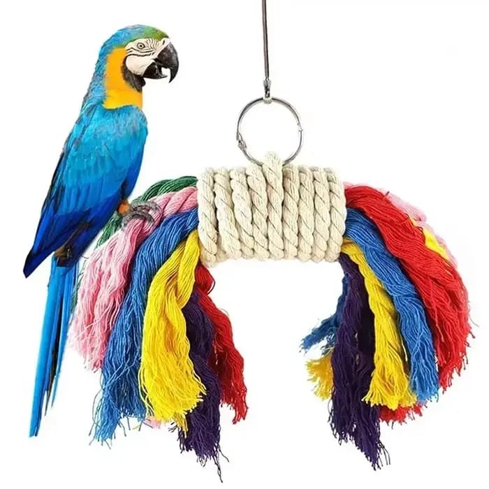 Jouet à mâcher pour perroquets, corde en coton, jouet pour oiseaux, pont de morsure, jouets à déchir