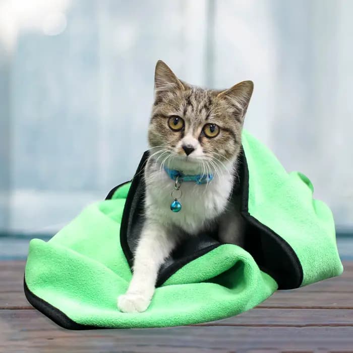 Serviette de bain absorbante pour animaux de compagnie, à séchage rapide, pour chiens et chats, en F