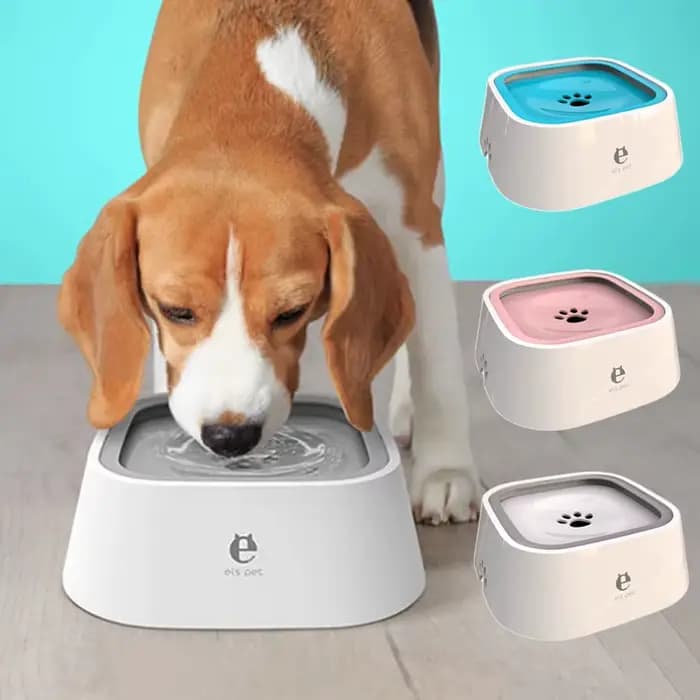 Bol d'eau potable pour chien, bol flottant à bouche Non mouillante pour chat sans déversement, distr