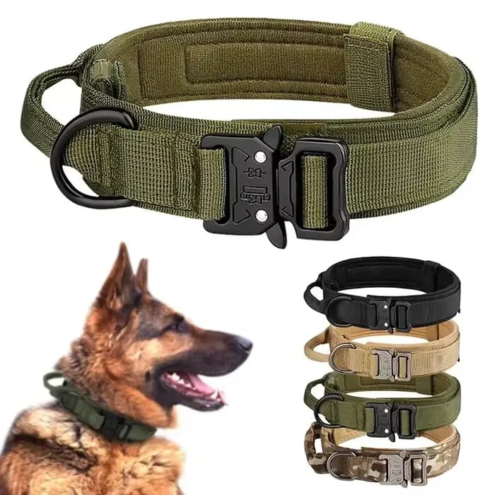 Produits pour animaux de compagnie collier tactique pour chien en plein air boucle en métal respiran