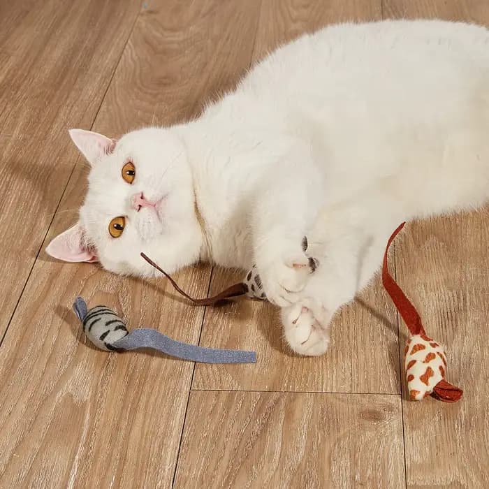 Jouet en peluche amusant pour chat, souris interactive douce et solide, jouets pour chaton drôle, ch