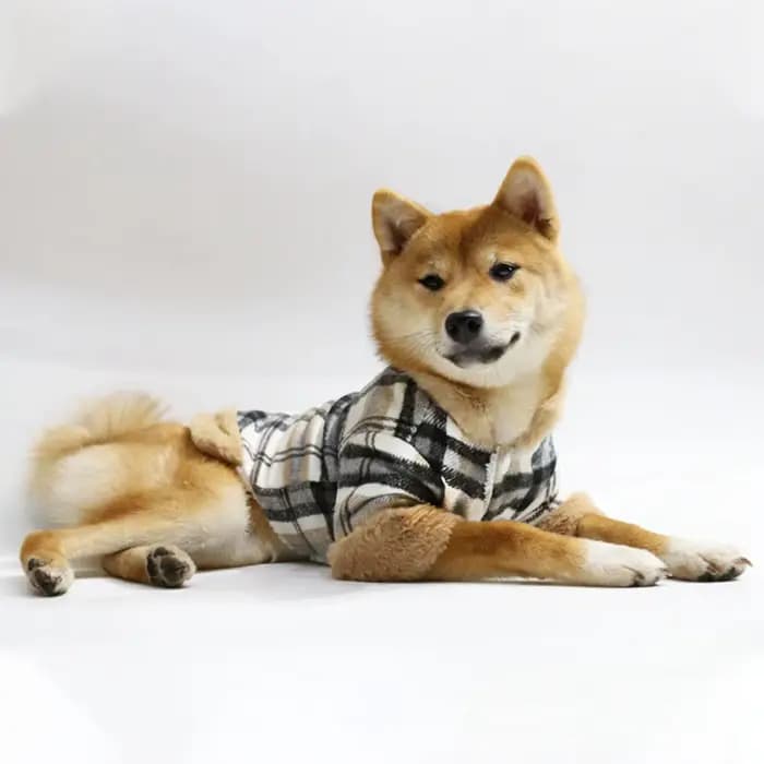 Veste d'hiver pour animaux de compagnie, vêtements chauds à grille pour petits chiens avec col en fo