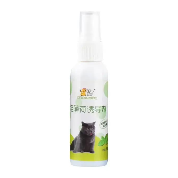 Spray d'herbe à chat pour chat, naturel, sain, sûr, effet à long terme, chatons, attractif, entraîne