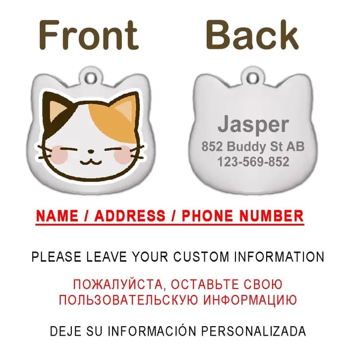 Étiquettes de chat personnalisées mignonnes en acier inoxydable, motif coloré, étiquettes de nom de 