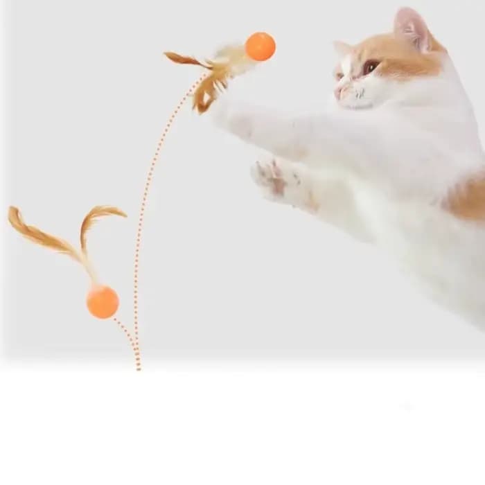 Balle élastique amusante pour chat, jouet interactif, fournitures pour animaux de compagnie, jouets 