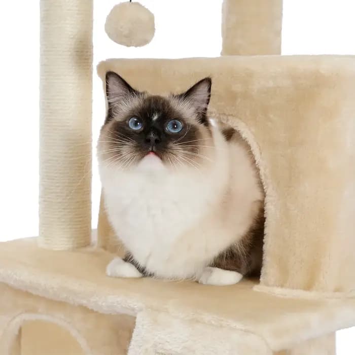 Tour d'arbre à chat en bois avec double condos, perchoir spacieux, poteaux en sisal à gratter entièr