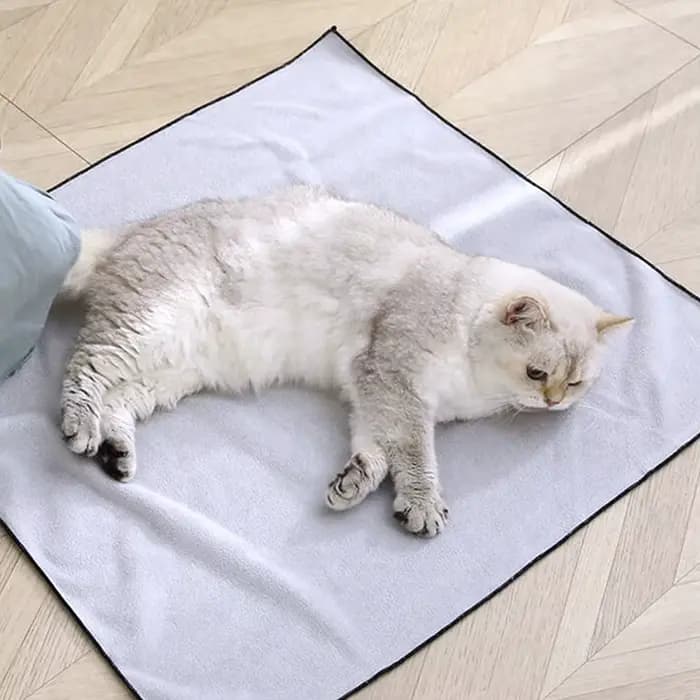 Enveloppement de toilettage pour chat, auto-adhésif, anti-rayures, emmaillotage pour chat, Burrito, 